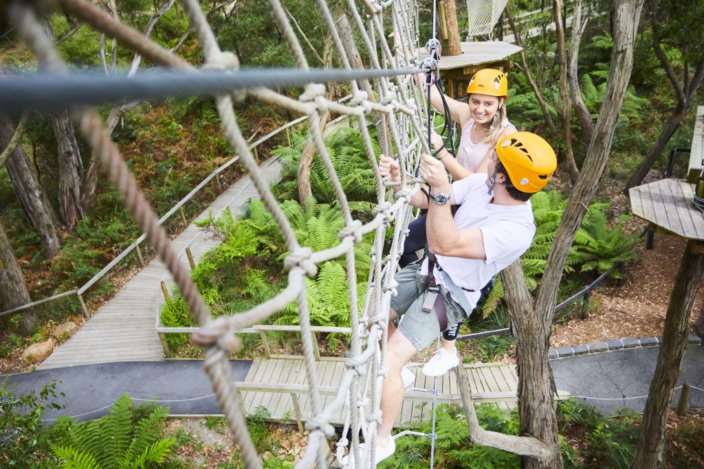 Two adults look at each other whilst crossing the net wall obstacle on the Grand Tree Surfing course at Enchanted Adventure with boardwalks and bushland below.