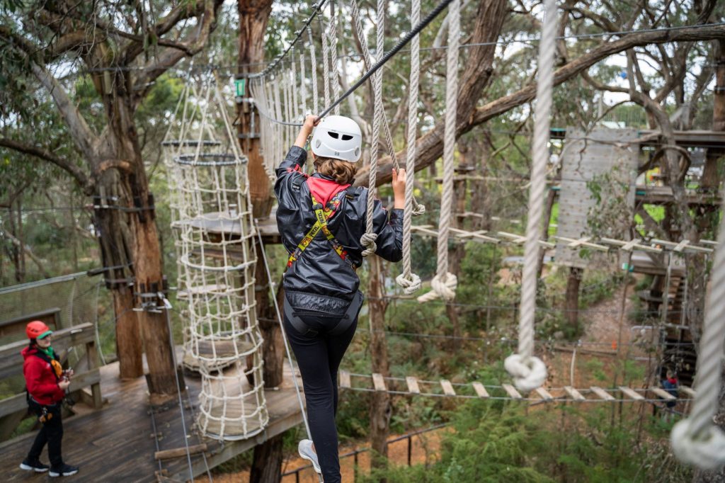 Child in helmet and safety harness walking across wire and rope challenge on the Nippers Tree course at Enchanted Adventure