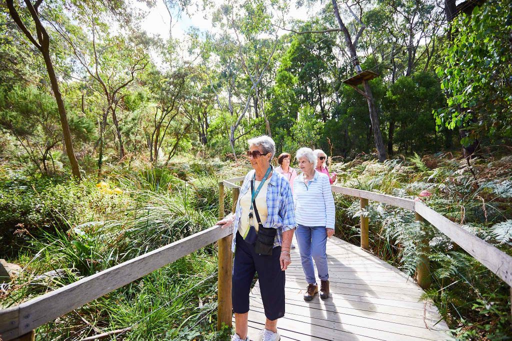 Group of Seniors strolling along the boardwalks surrounded by natural bushland at Enchanted Adventure