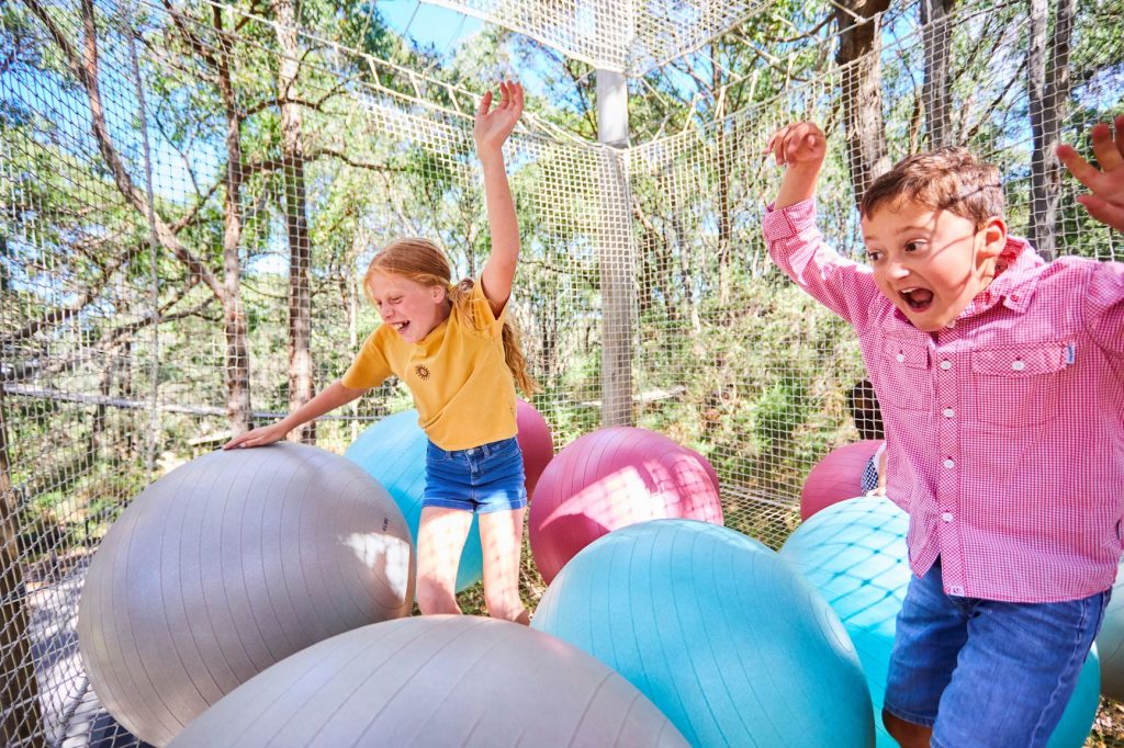 Boy and girl playing in enclosed net ball pit in the Sky Scramble attraction at Enchanted Adventure