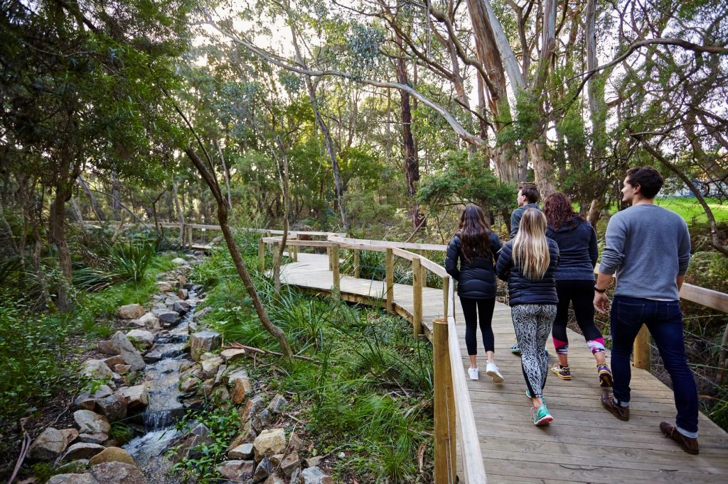 Group of young adults walking along bush boardwalk and creek at Enchanted Adventure