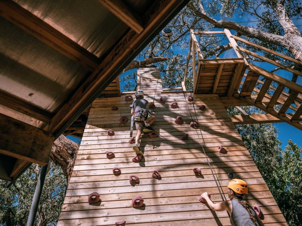 Climbing wall on the Grand Tree Surfing course at Enchanted Adventure