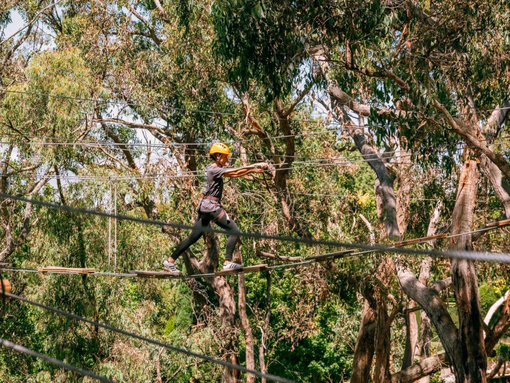 Female in safety hat on rope walk on Grand Tree Surfing course at Enchanted Adventure